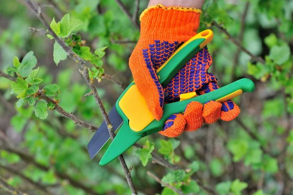 Les essentiels du plan pluriannuel de travaux en copropriété